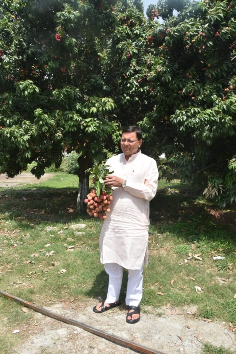 सीएम आवास में रसदार लीची का सीएम ने लिया स्वाद, सीएम आवास में लीची तोड़ने की प्रक्रिया शुरू |