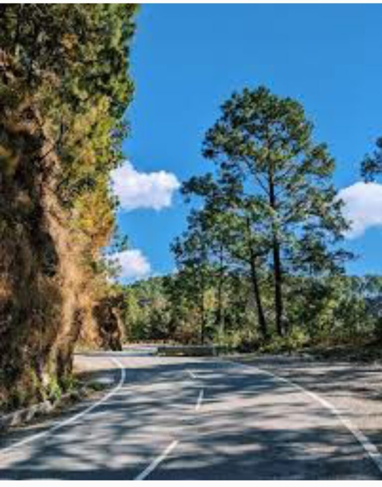 कुमाऊं को गढ़वाल से जोड़ने वाली सड़कों का होगा चौड़ीकरण, मानसखंड सर्किट के मंदिरों तक बेहतर होगी सड़क कनेक्टिविटी, गोल्ज्यू सर्किट को विकसित करने को बनेगा सुनियोजित प्लान