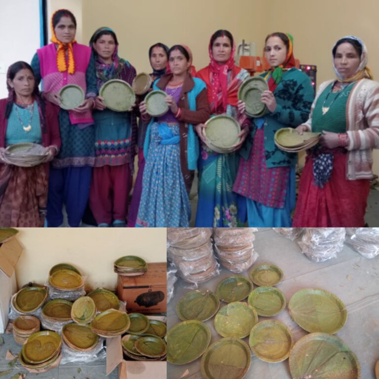 महिलाओं को आत्मनिर्भर बनाने एवं उनकी आर्थिकी को मजबूत करने के लिए महिला समूह के माध्यम से स्वरोजगार के अवसर को उपलब्ध कराए जाने के लिए जिलाधिकारी मयूर दिक्षित इस दिशा में निरंतर प्रयासरत है ।