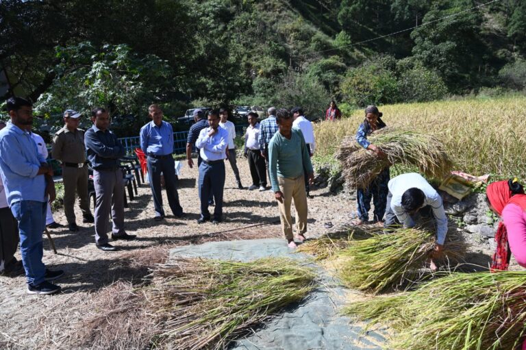 फसलों की औसत उपज और उत्पादन के आंकड़े संकलन को लेकर जिलाधिकारी मयूर दीक्षित पहुंचे जड़धारगांव चंबा।