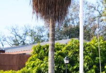 मुख्यमंत्री पुष्कर सिंह धामी ने 77वें गणतंत्र दिवस के अवसर पर मुख्यमंत्री आवास पर राष्ट्रीय ध्वज फहराया।