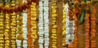 गंगोत्री और यमुनोत्री धाम के कपाट श्रद्धालुओं के लिए खुले।