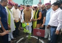 हरेला केवल पर्व नहीं, प्रकृति संरक्षण और सांस्कृतिक विरासत से जुड़ने का जनआंदोलन है : मुख्यमंत्री